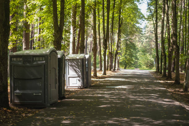 Best Porta potty rental for parties  in Powers Lake, WI